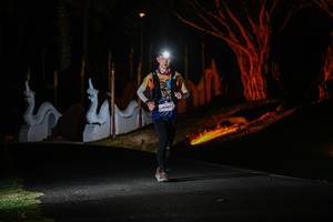 BIB: 2001
                            <button type="button" onclick="openModal(22510151)" class="btn btn-primary btn-sm float-right btn-popup" data-toggle="modal" data-target=".modal-high-quality">
                        <i class="fas fa-shopping-cart"></i> Add to Cart
                    </button>
                                            <button type="button" onclick="isThisMe(22510151, true)" class="btn btn-success btn-sm float-right btn-popup btn-isme hidden" data-toggle="tooltip" data-placement="bottom" title="นี่คือรูปของคุณใช่ไหม คลิกที่นี่เพื่อเอาเข้าอัลบั้ม">
                        <i class="fas fa-plus"></i> Add to album
                    </button>
                    <button type="button" onclick="isThisMe(22510151, false)" class="btn btn-warning btn-sm float-right btn-popup btn-isnotme hidden">
                        <i class="fas fa-ban"></i> Remove from album
                    </button>